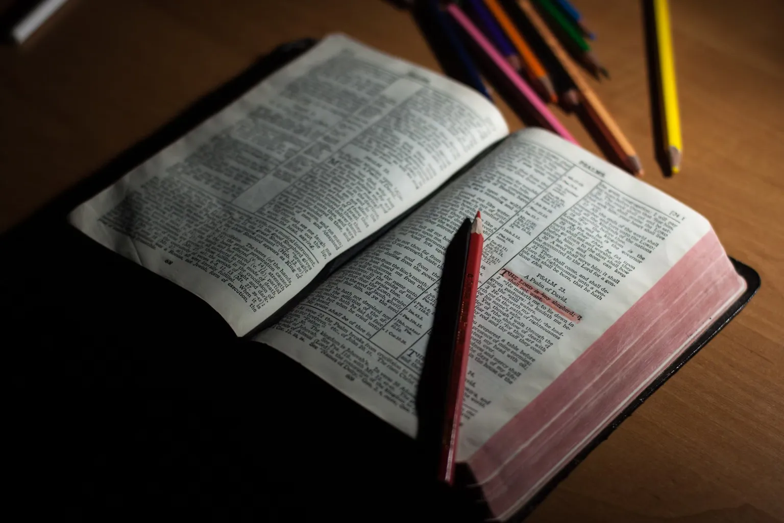 Launching the Youth Peace Messengers Devotional for Lutheran Congregations